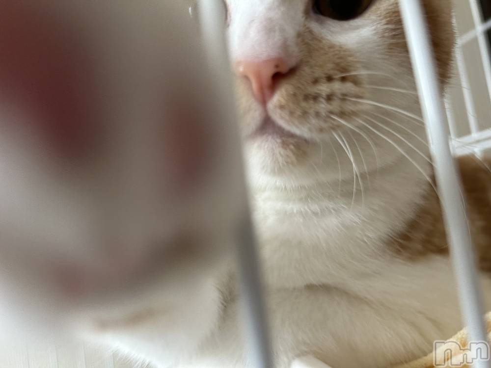 ���ᥭ��Х��顦�����CLUB ASLI(����֥�����) �ˤ���11��1���̥�֥�����💗🫶💗��