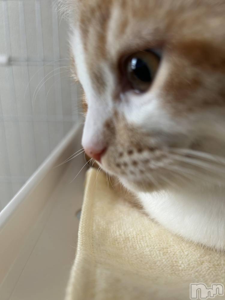 ���ᥭ��Х��顦�����CLUB ASLI(����֥�����) �ˤ���11��2���̥�֥�����💗🫶💗��