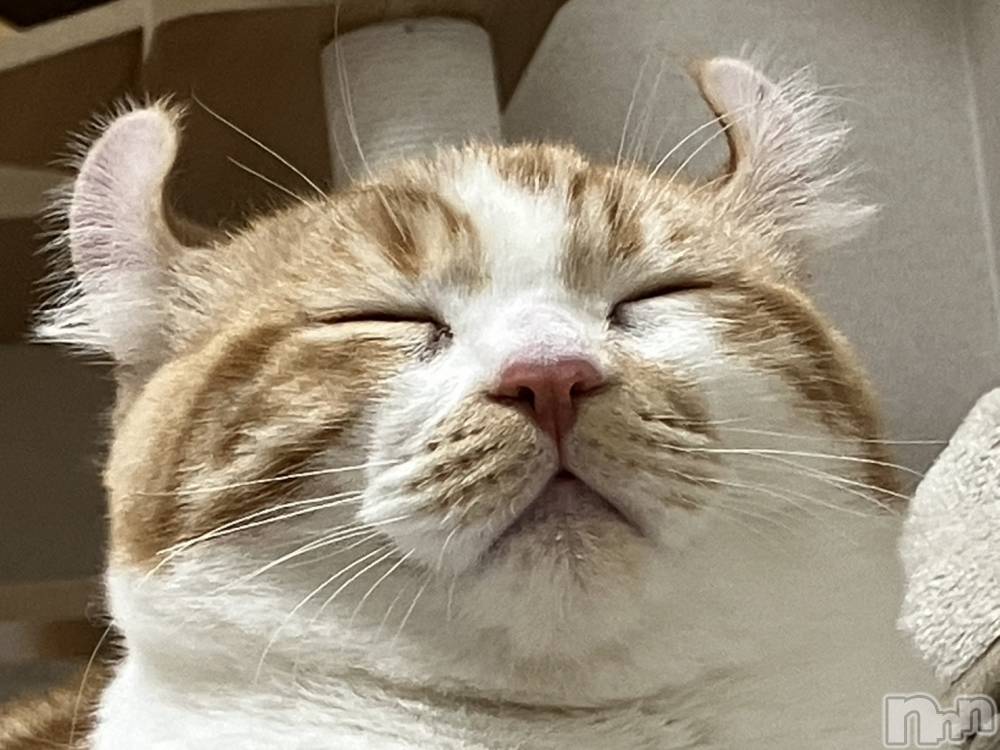 ���ᥭ��Х��顦�����CLUB ASLI(����֥�����) �ˤ���12��8���̥�֥�����💗12��8��💗��