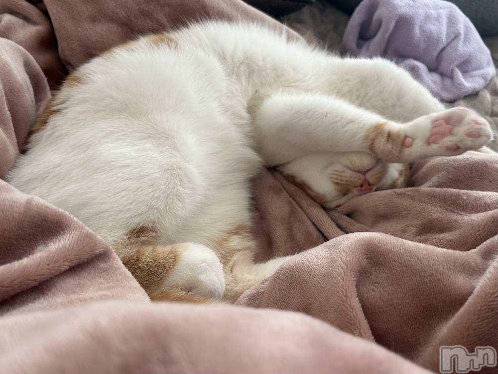 ���ᥭ��Х��顦�����CLUB ASLI(����֥�����) �ˤ���12��10���̥�֥�����💗🦄💗��