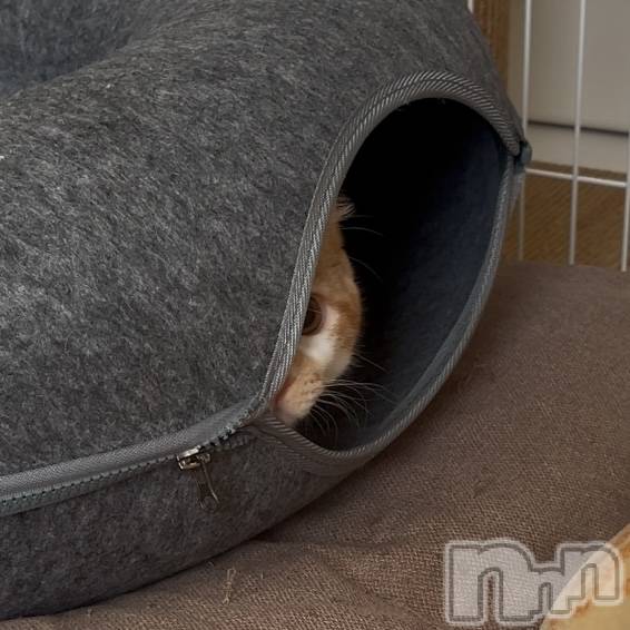 ���ᥭ��Х��顦�����CLUB ASLI(����֥�����) �ˤ���12��12���̥�֥�����💗🦄💗��