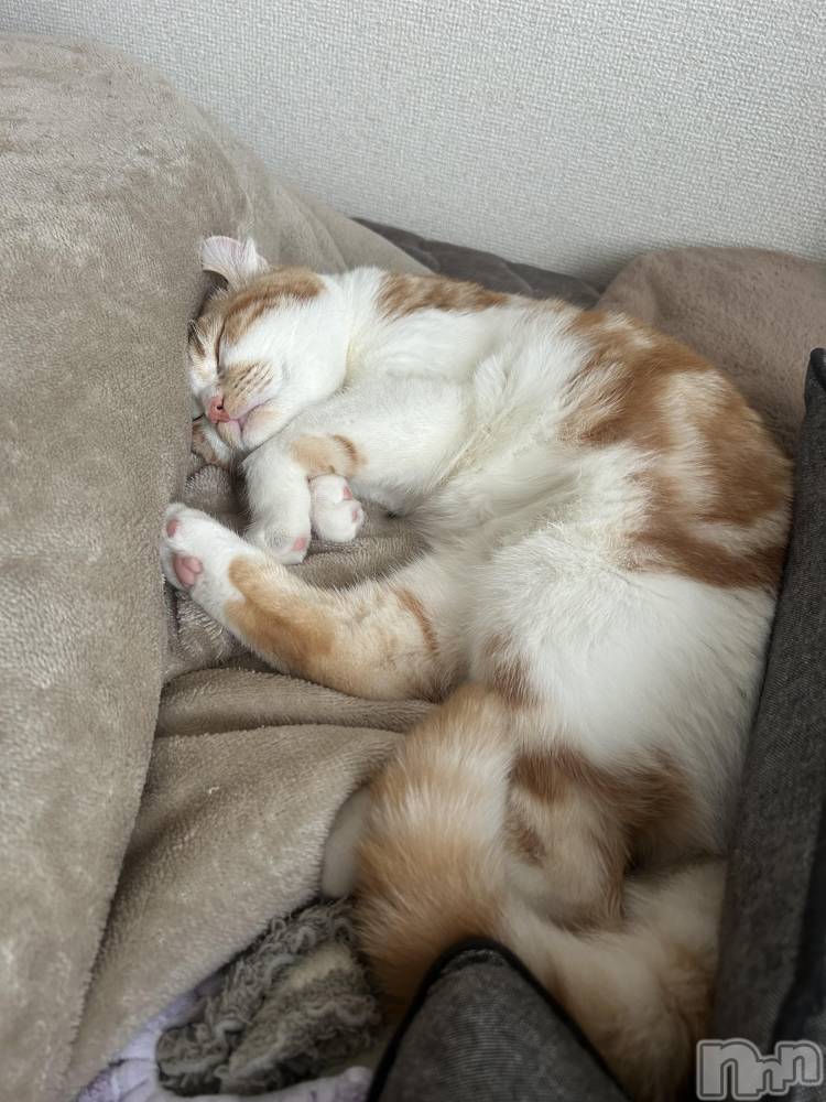 ���ᥭ��Х��顦�����CLUB ASLI(����֥�����) �ˤ���12��17���̥�֥�����💗🦄💗��