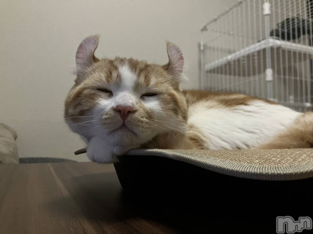 ���ᥭ��Х��顦�����CLUB ASLI(����֥�����) �ˤ���1��5���̥�֥�����💗1��5��💗��