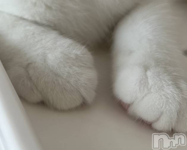 ���ᥭ��Х��顦�����CLUB ASLI(����֥�����) ��2024ǯ9��23���̥�֥�����💗🫶💗��