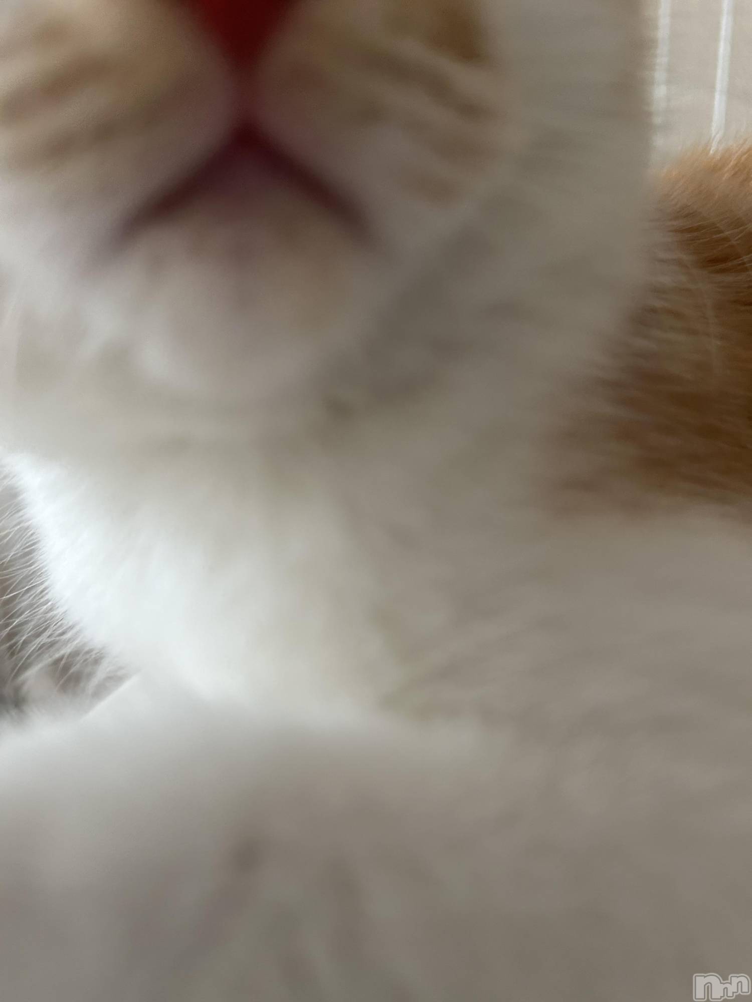 ���ᥭ��Х��顦�����CLUB ASLI(����֥�����) ��2024ǯ10��2���̥�֥�����💗🫶💗��