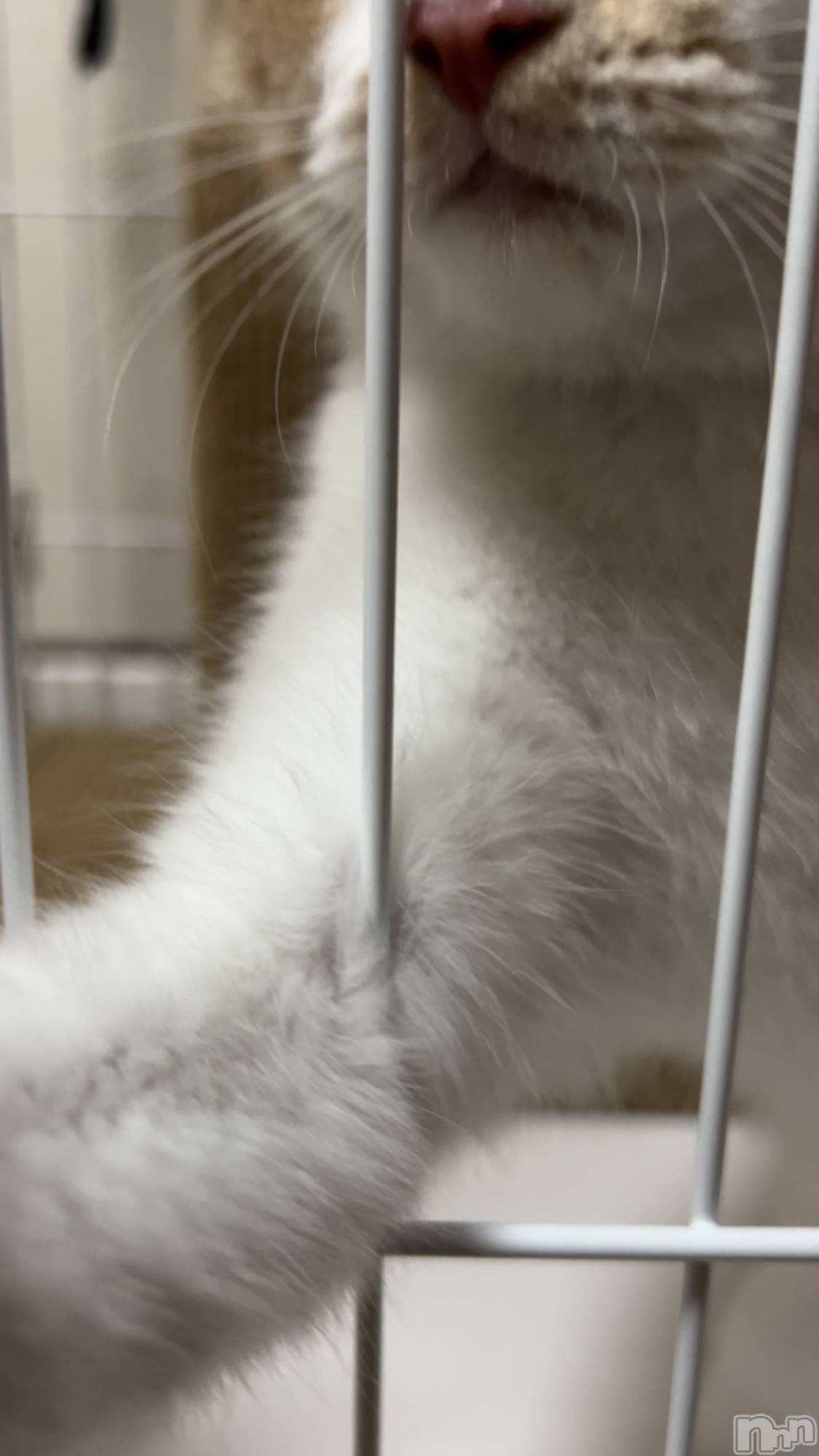 ���ᥭ��Х��顦�����CLUB ASLI(����֥�����) ��2024ǯ10��4���̥�֥�����💗🫶💗��