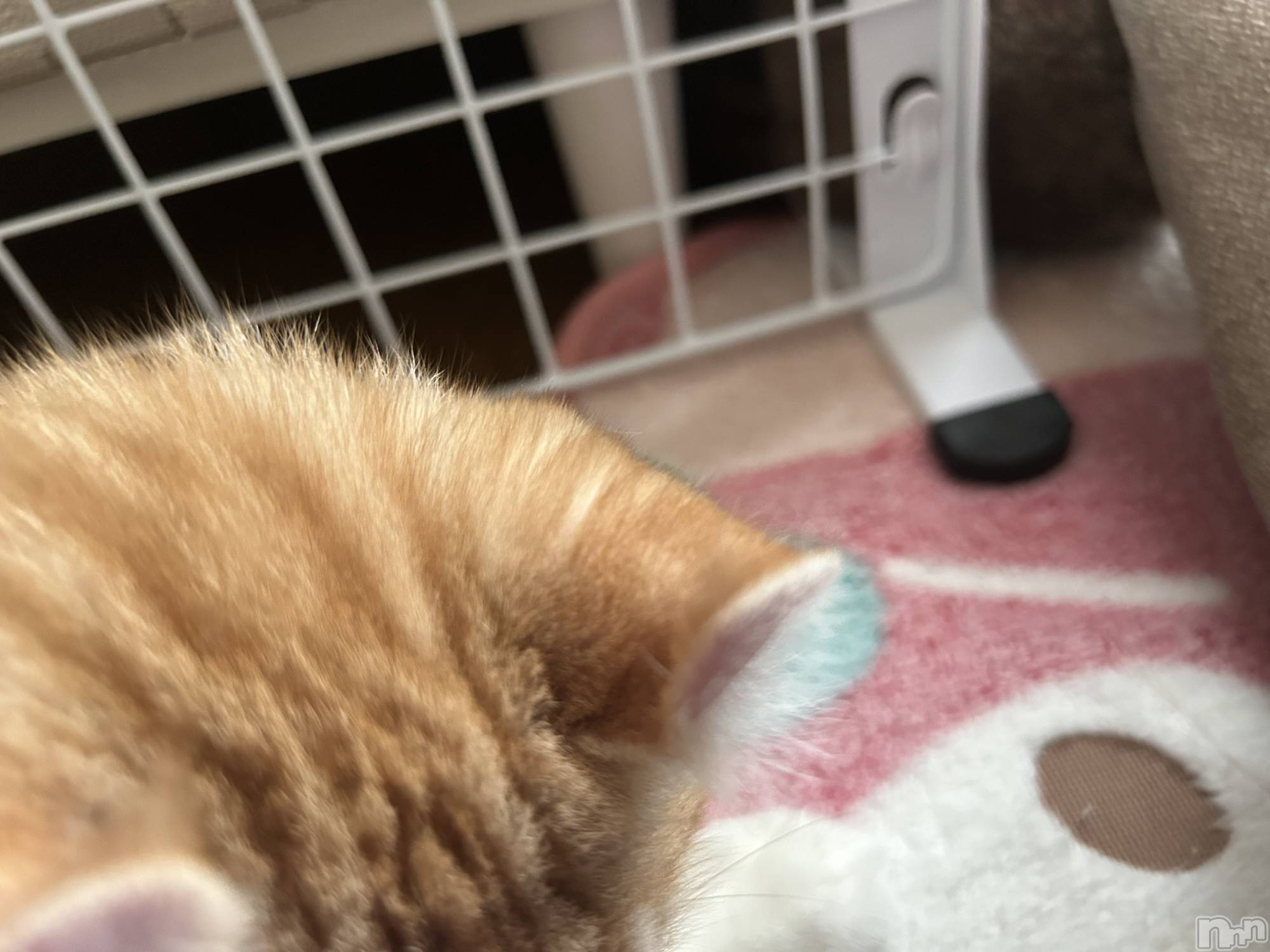 ���ᥭ��Х��顦�����CLUB ASLI(����֥�����) ��2024ǯ10��5���̥�֥�����💗🫶💗��