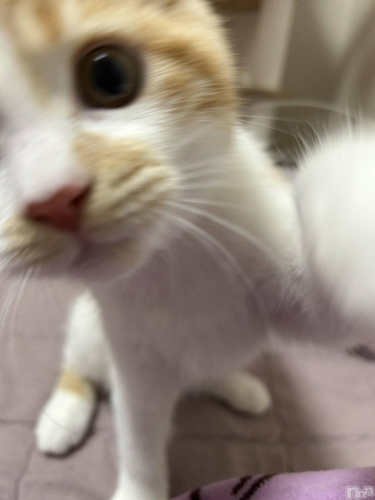 ���ᥭ��Х��顦�����CLUB ASLI(����֥�����) ��2024ǯ10��7���̥�֥�����💗🫶💗��