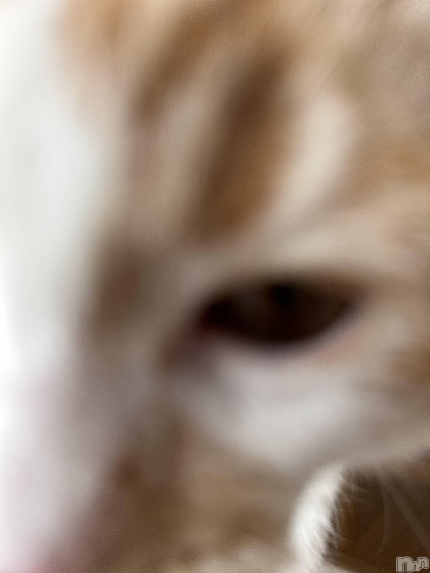 ���ᥭ��Х��顦�����CLUB ASLI(����֥�����) ��2024ǯ10��12���̥�֥�����💗🫶💗��