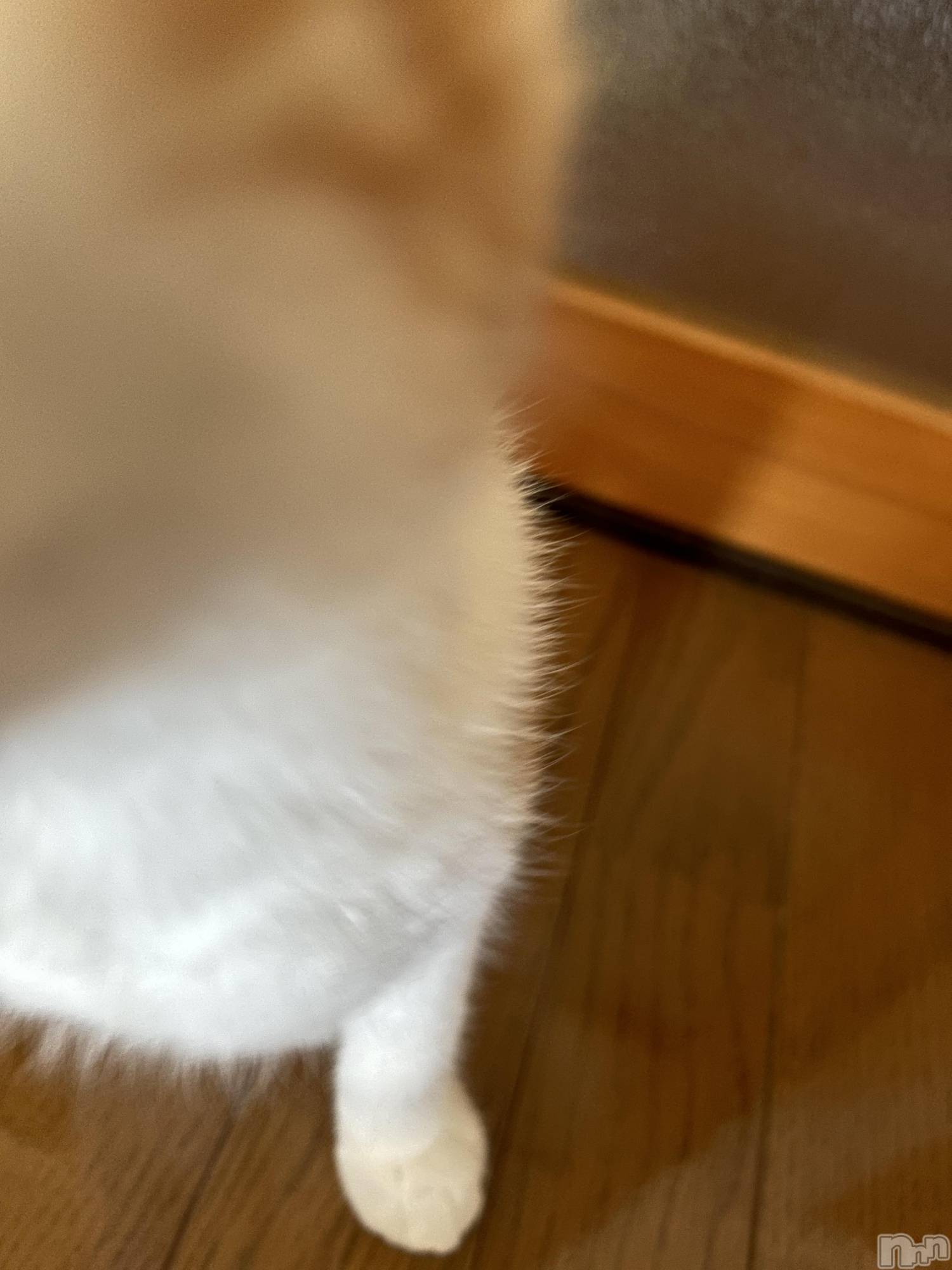 ���ᥭ��Х��顦�����CLUB ASLI(����֥�����) ��2024ǯ10��13���̥�֥�����💗10��13��💗��