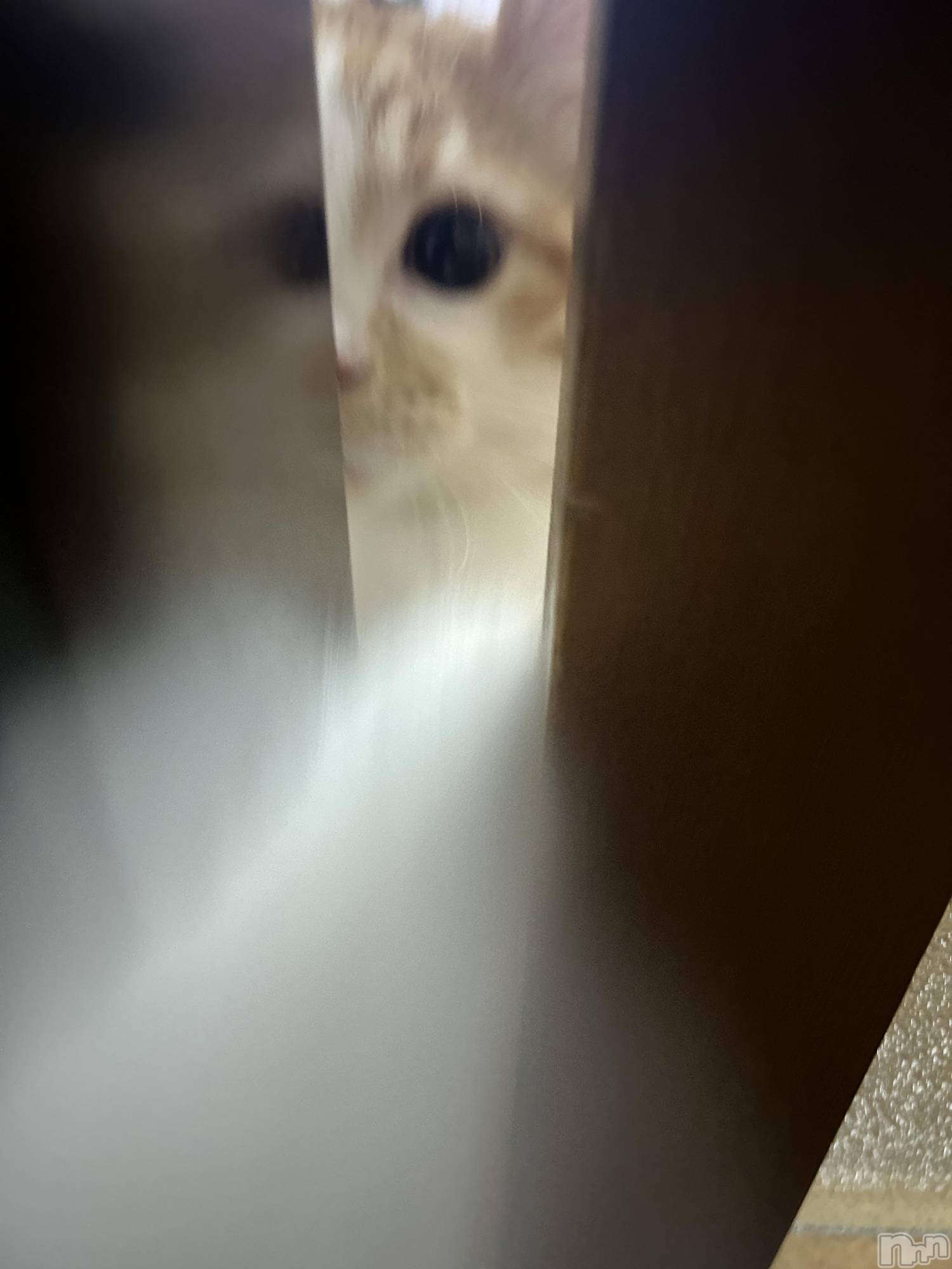 ���ᥭ��Х��顦�����CLUB ASLI(����֥�����) ��2024ǯ10��15���̥�֥�����💗🫶💗��