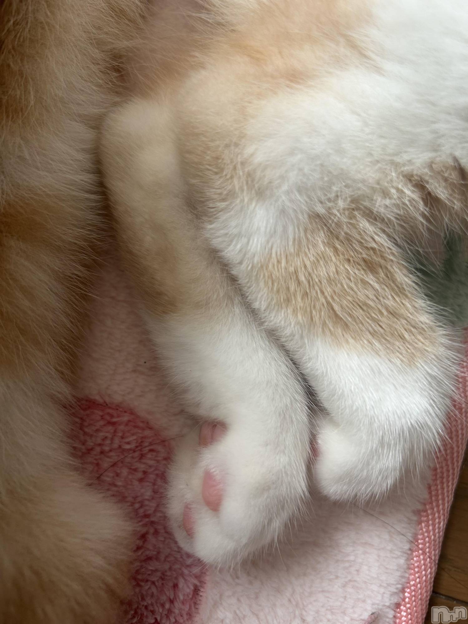 ���ᥭ��Х��顦�����CLUB ASLI(����֥�����) ��2024ǯ10��16���̥�֥�����💗10��16��💗��