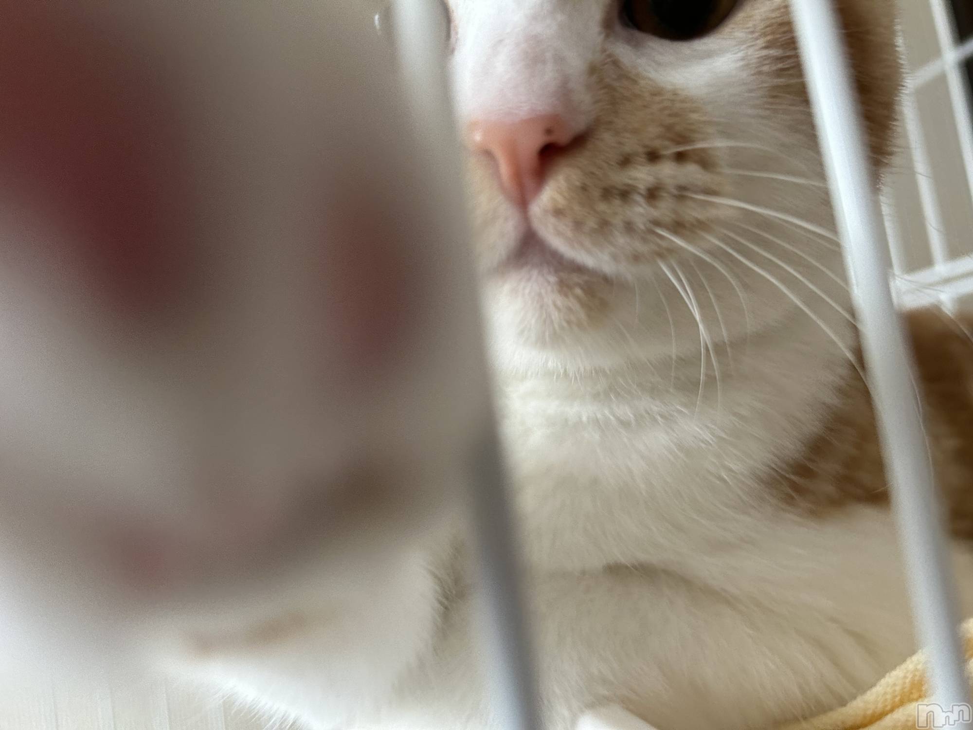 ���ᥭ��Х��顦�����CLUB ASLI(����֥�����) ��2024ǯ11��1���̥�֥�����💗🫶💗��