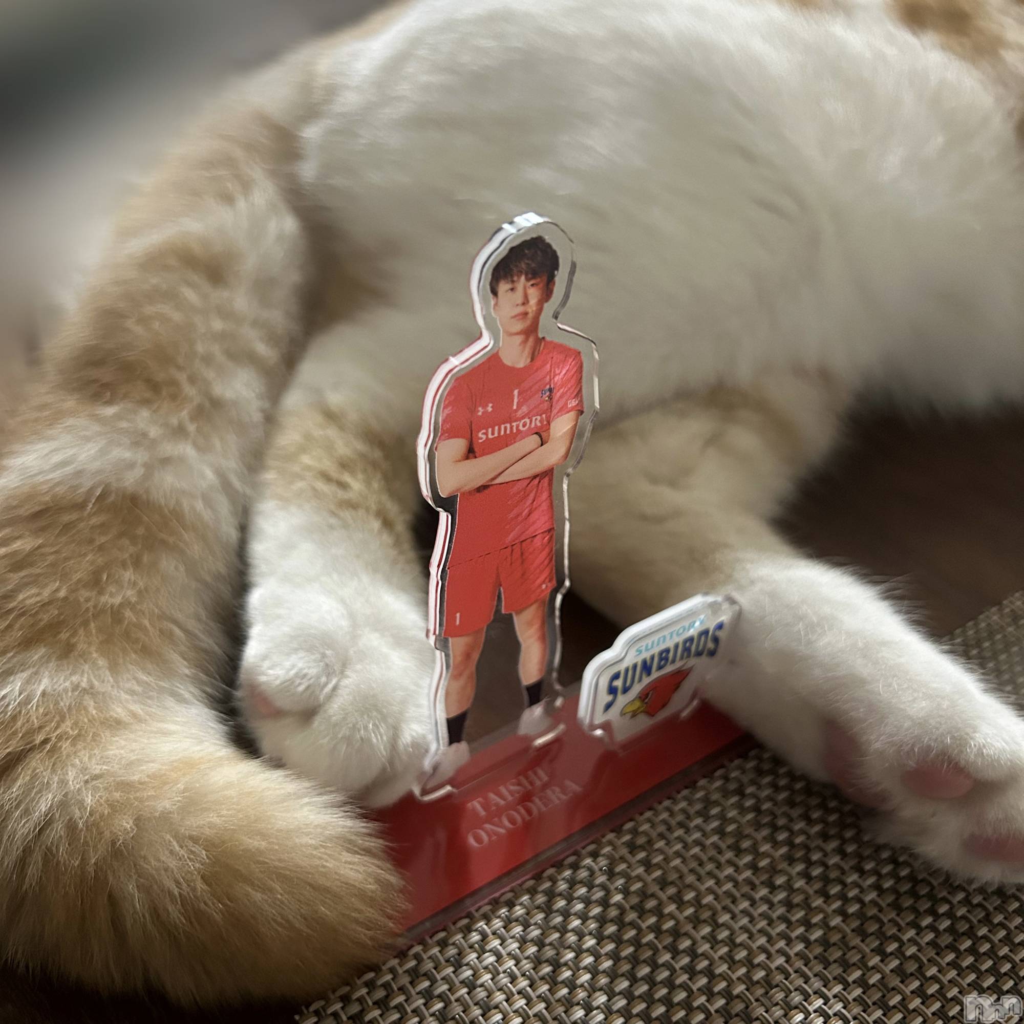 ���ᥭ��Х��顦�����CLUB ASLI(����֥�����) ��2024ǯ12��1���̥�֥�����💗11��💗��