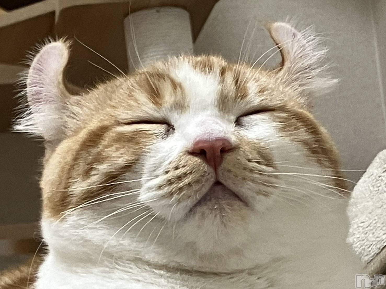 ���ᥭ��Х��顦�����CLUB ASLI(����֥�����) ��2024ǯ12��8���̥�֥�����💗12��8��💗��