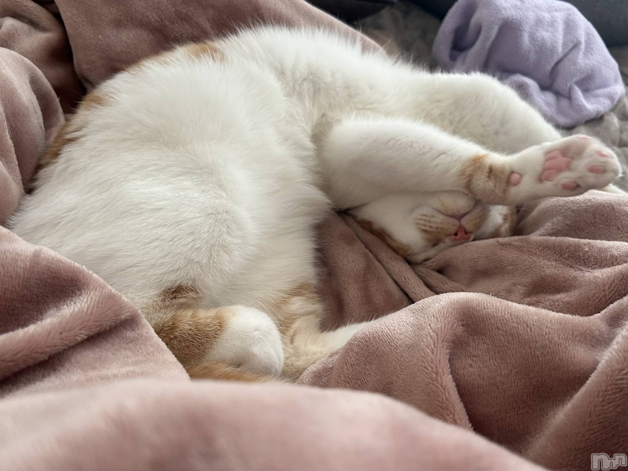 ���ᥭ��Х��顦�����CLUB ASLI(����֥�����) ��2024ǯ12��10���̥�֥�����💗🦄💗��