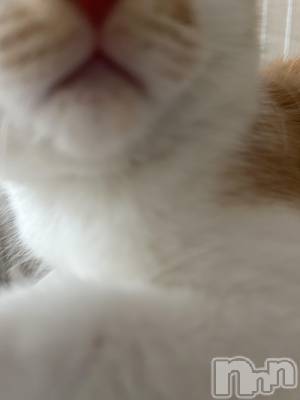 ���ᥭ��Х��顦�����CLUB ASLI(����֥�����) �ˤ���10��2���̥�֥�����💗🫶💗��