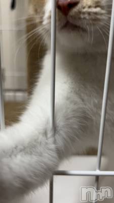 ���ᥭ��Х��顦�����CLUB ASLI(����֥�����) �ˤ���10��4���̥�֥�����💗🫶💗��