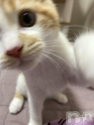 ���ᥭ��Х��顦�����CLUB ASLI(����֥�����) �ˤ���10��7���̥�֥�����💗🫶💗��