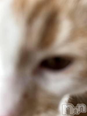 ���ᥭ��Х��顦�����CLUB ASLI(����֥�����) �ˤ���10��12���̥�֥�����💗🫶💗��