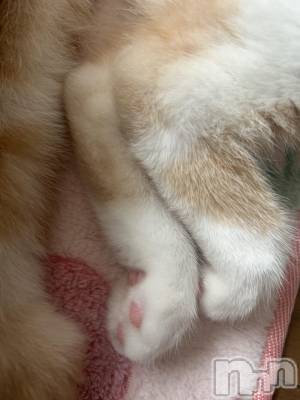 ���ᥭ��Х��顦�����CLUB ASLI(����֥�����) �ˤ���10��16���̥�֥�����💗10��16��💗��