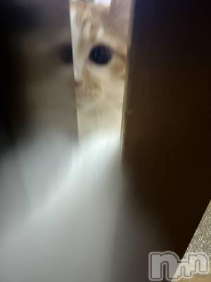 ���ᥭ��Х��顦�����CLUB ASLI(����֥�����) �ˤ���10��17���̥�֥�����💗🫶💗��