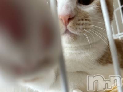 ���ᥭ��Х��顦�����CLUB ASLI(����֥�����) �ˤ���11��1���̥�֥�����💗🫶💗��