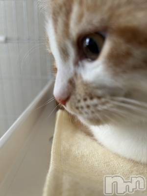 ���ᥭ��Х��顦�����CLUB ASLI(����֥�����) �ˤ���11��2���̥�֥�����💗🫶💗��