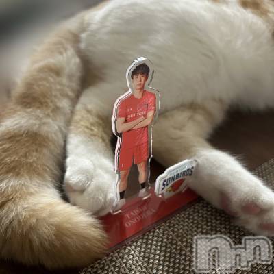 ���ᥭ��Х��顦�����CLUB ASLI(����֥�����) �ˤ���12��1���̥�֥�����💗11��💗��