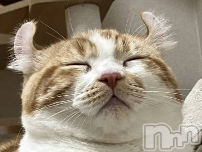 ���ᥭ��Х��顦�����CLUB ASLI(����֥�����) �ˤ���12��8���̥�֥�����💗12��8��💗��