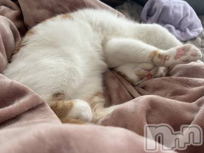 ���ᥭ��Х��顦�����CLUB ASLI(����֥�����) �ˤ���12��10���̥�֥�����💗🦄💗��