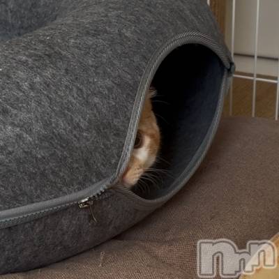 ���ᥭ��Х��顦�����CLUB ASLI(����֥�����) �ˤ���12��11���̥�֥�����💗🦄💗��