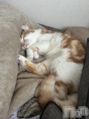 ���ᥭ��Х��顦�����CLUB ASLI(����֥�����) �ˤ���12��17���̥�֥�����💗🦄💗��