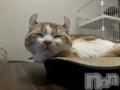 ���ᥭ��Х��顦�����CLUB ASLI(����֥�����) �ˤ���1��5���̥�֥�����💗1��5��💗��