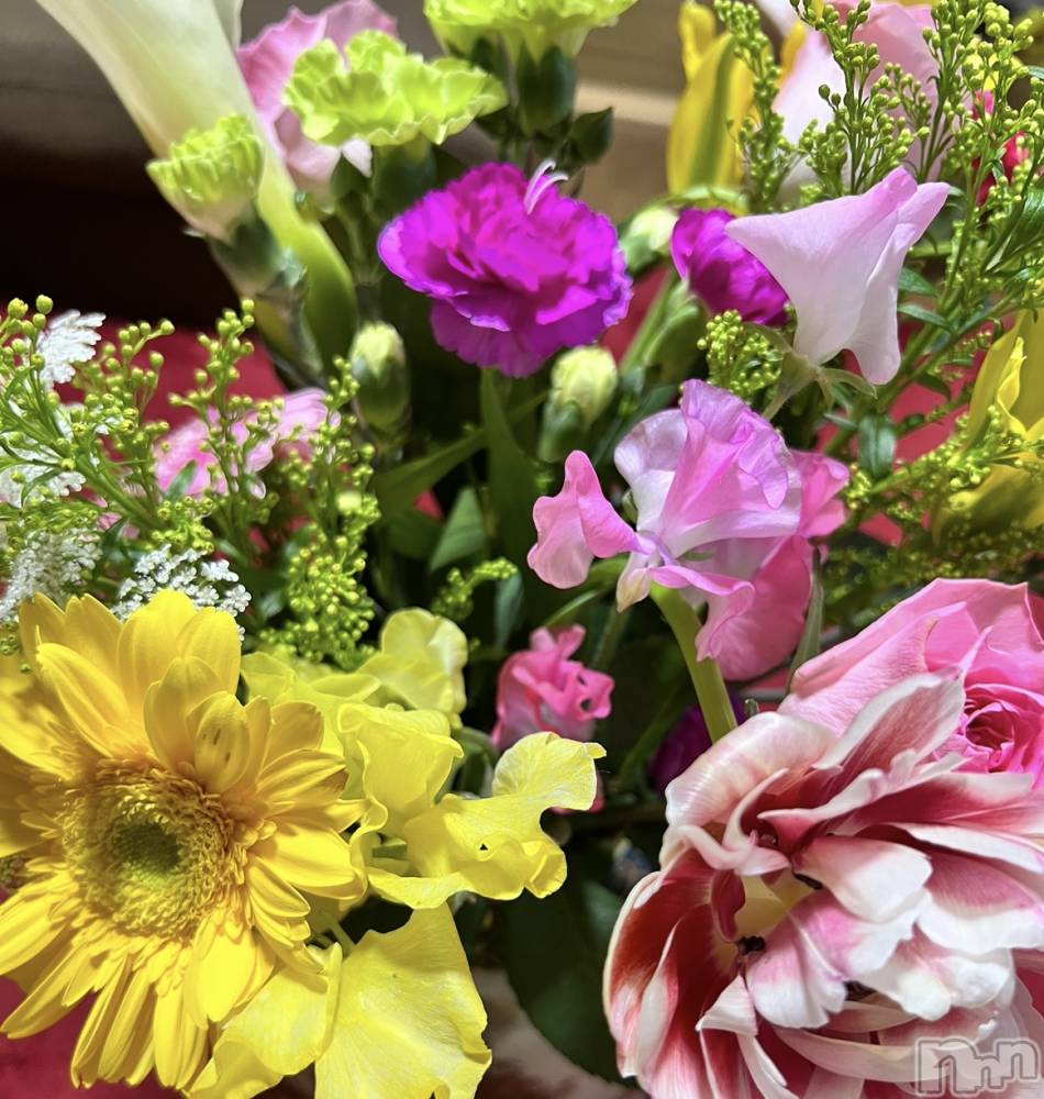 ��ˬ����Х��顦����֥���� �ץ���� ��ˬ(����� �ץ���� ����) �շ� �ꤪ��5��18���̥�֥�����🍬��