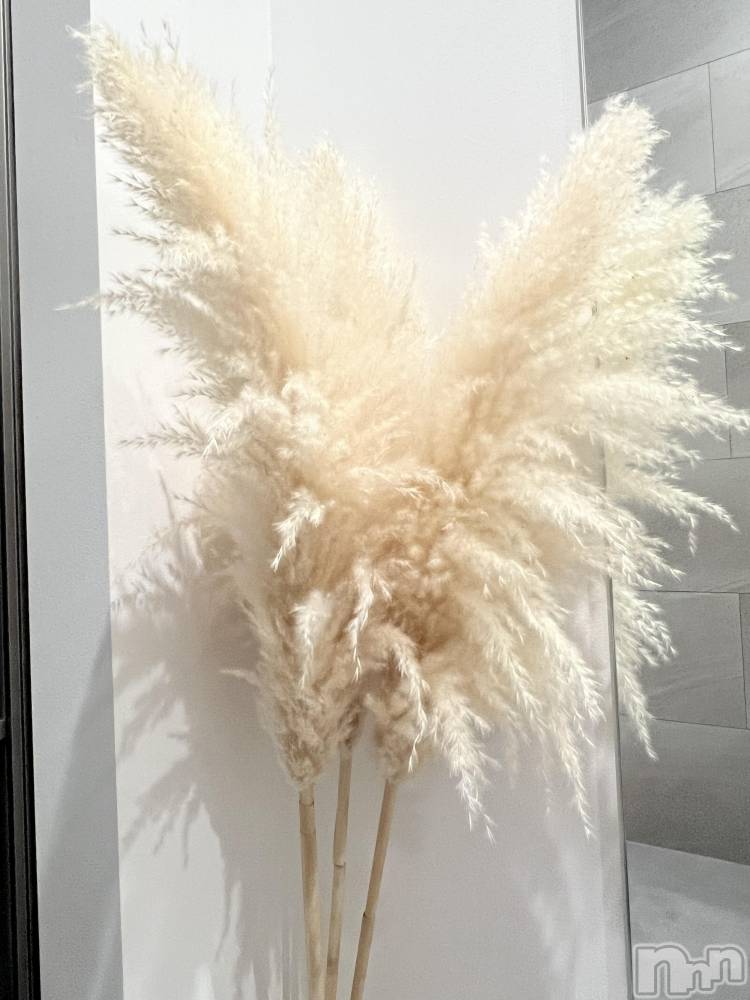 ��ˬ����Х��顦����֥���� �ץ���� ��ˬ(����� �ץ���� ����) �շ� �ꤪ��6��5���̥�֥�����🍬��