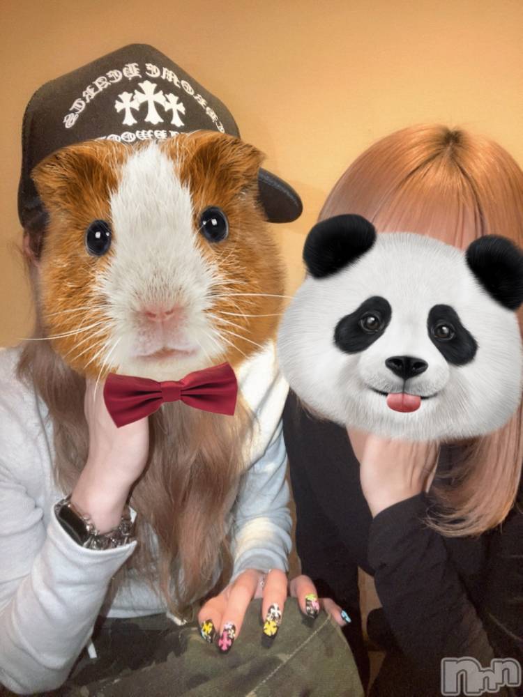 ��ˬ����Х��顦����֥���� �ץ���� ��ˬ(����� �ץ���� ����) �շ� �ꤪ��6��20���̥�֥�����🍬��