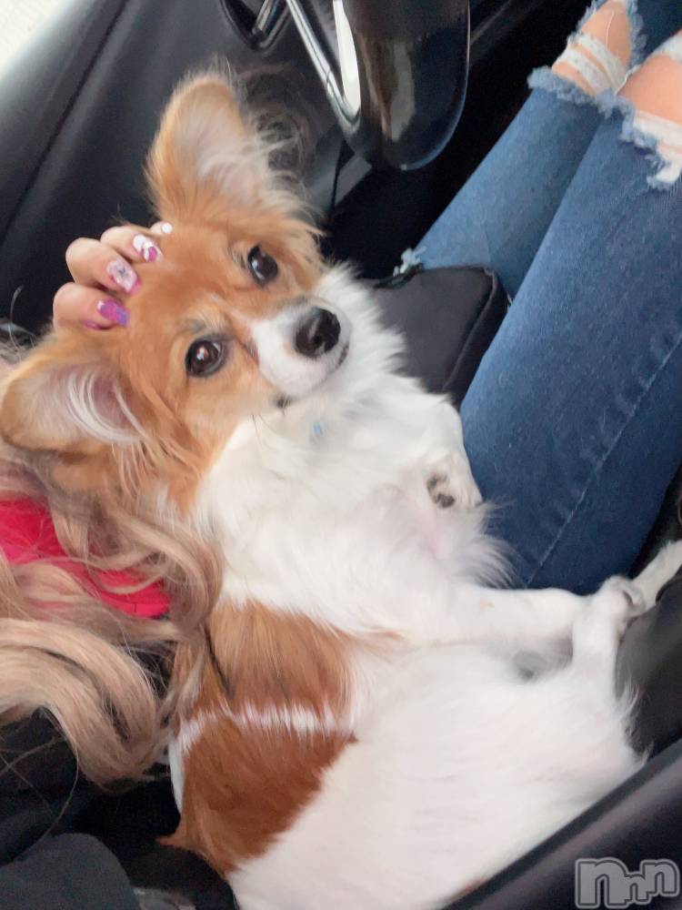 ��ˬ����Х��顦����֥���� �ץ���� ��ˬ(����� �ץ���� ����) �շ� �ꤪ��11��14���̥�֥�����🍬��