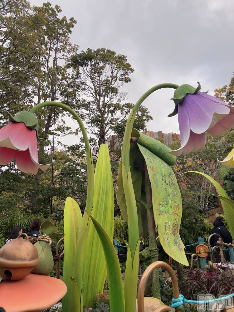 ��ˬ����Х��顦����֥���� �ץ���� ��ˬ(����� �ץ���� ����) �շ� �ꤪ��2��14���̥�֥�����💙��