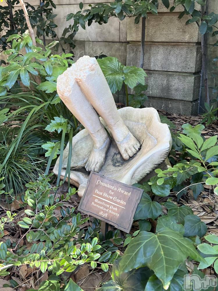 ��ˬ����Х��顦����֥���� �ץ���� ��ˬ(����� �ץ���� ����) �շ� �ꤪ��2��15���̥�֥�����💛��