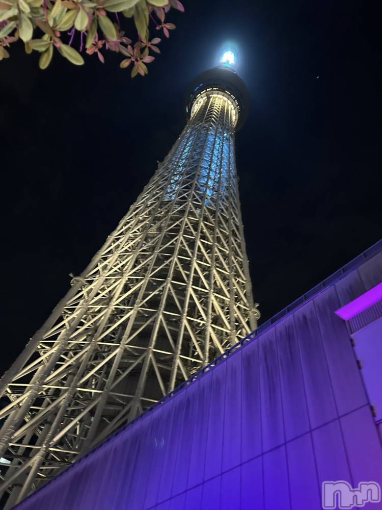 ��ˬ����Х��顦����֥���� �ץ���� ��ˬ(����� �ץ���� ����) �շ� �ꤪ��2��28���̥�֥�����💚��