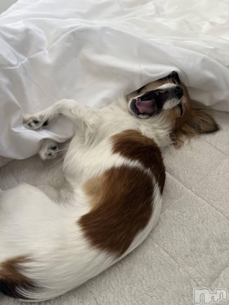 ��ˬ����Х��顦����֥���� �ץ���� ��ˬ(����� �ץ���� ����) �շ� �ꤪ��3��21���̥�֥�����💖��