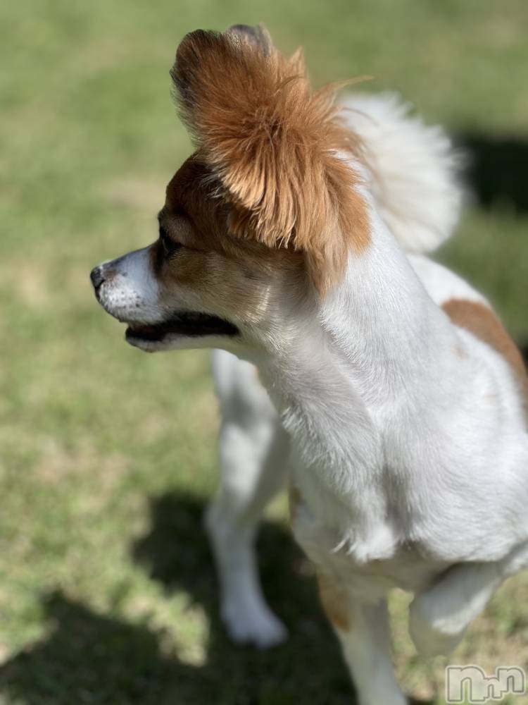 ��ˬ����Х��顦����֥���� �ץ���� ��ˬ(����� �ץ���� ����) �շ� �ꤪ��5��10���̥�֥�����🐜��