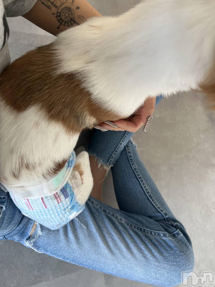 ��ˬ����Х��顦����֥���� �ץ���� ��ˬ(����� �ץ���� ����) �շ� �ꤪ��5��14���̥�֥�����💎��