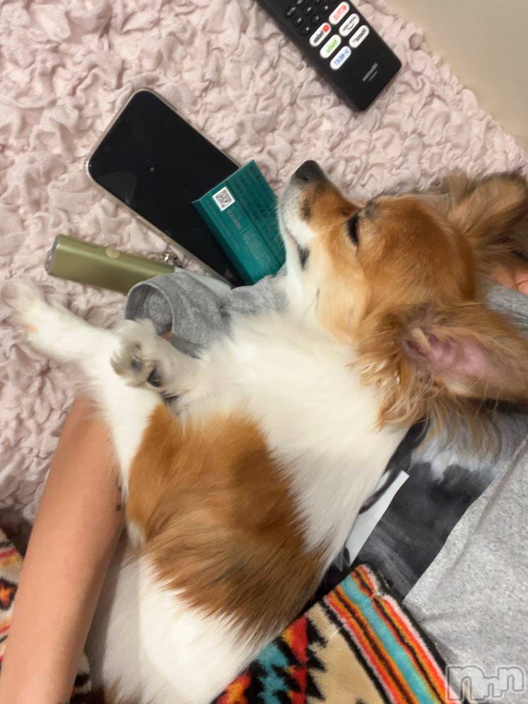 ��ˬ����Х��顦����֥���� �ץ���� ��ˬ(����� �ץ���� ����) �շ� �ꤪ��7��4���̥�֥�����👾��