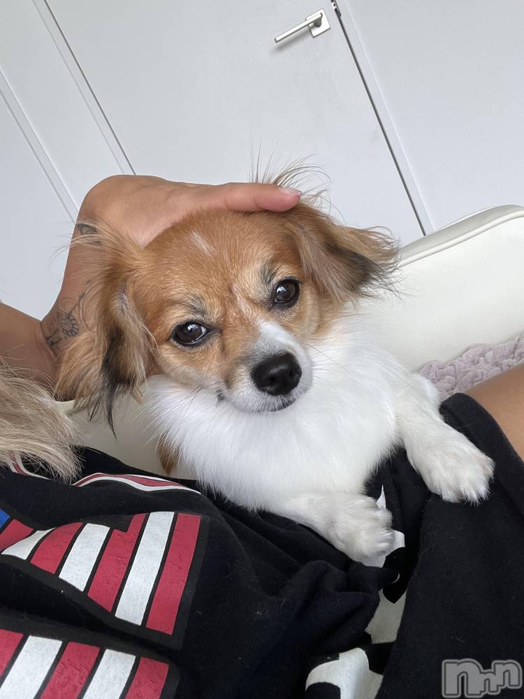 ��ˬ����Х��顦����֥���� �ץ���� ��ˬ(����� �ץ���� ����) �շ� �ꤪ��8��21���̥�֥�����🧡��