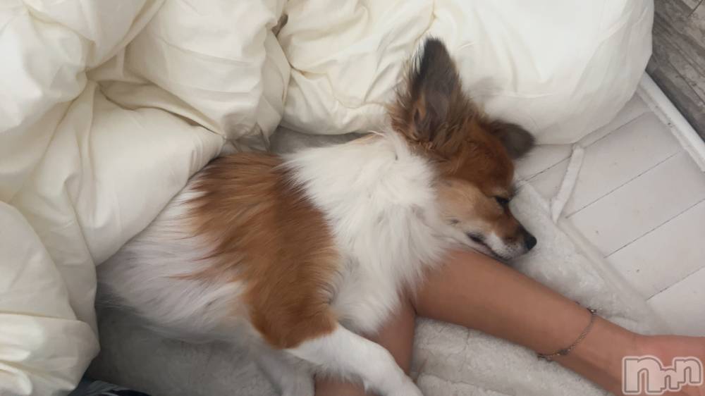 ��ˬ����Х��顦����֥���� �ץ���� ��ˬ(����� �ץ���� ����) �շ� �ꤪ��10��23���̥�֥�����🩷��