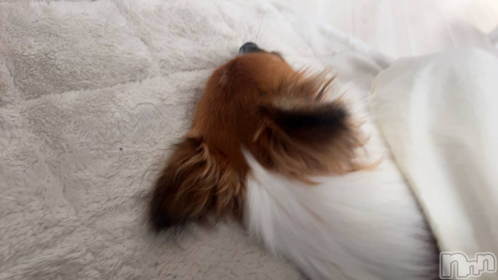 ��ˬ����Х��顦����֥���� �ץ���� ��ˬ(����� �ץ���� ����) �շ� �ꤪ��11��14���̥�֥�����♠️��