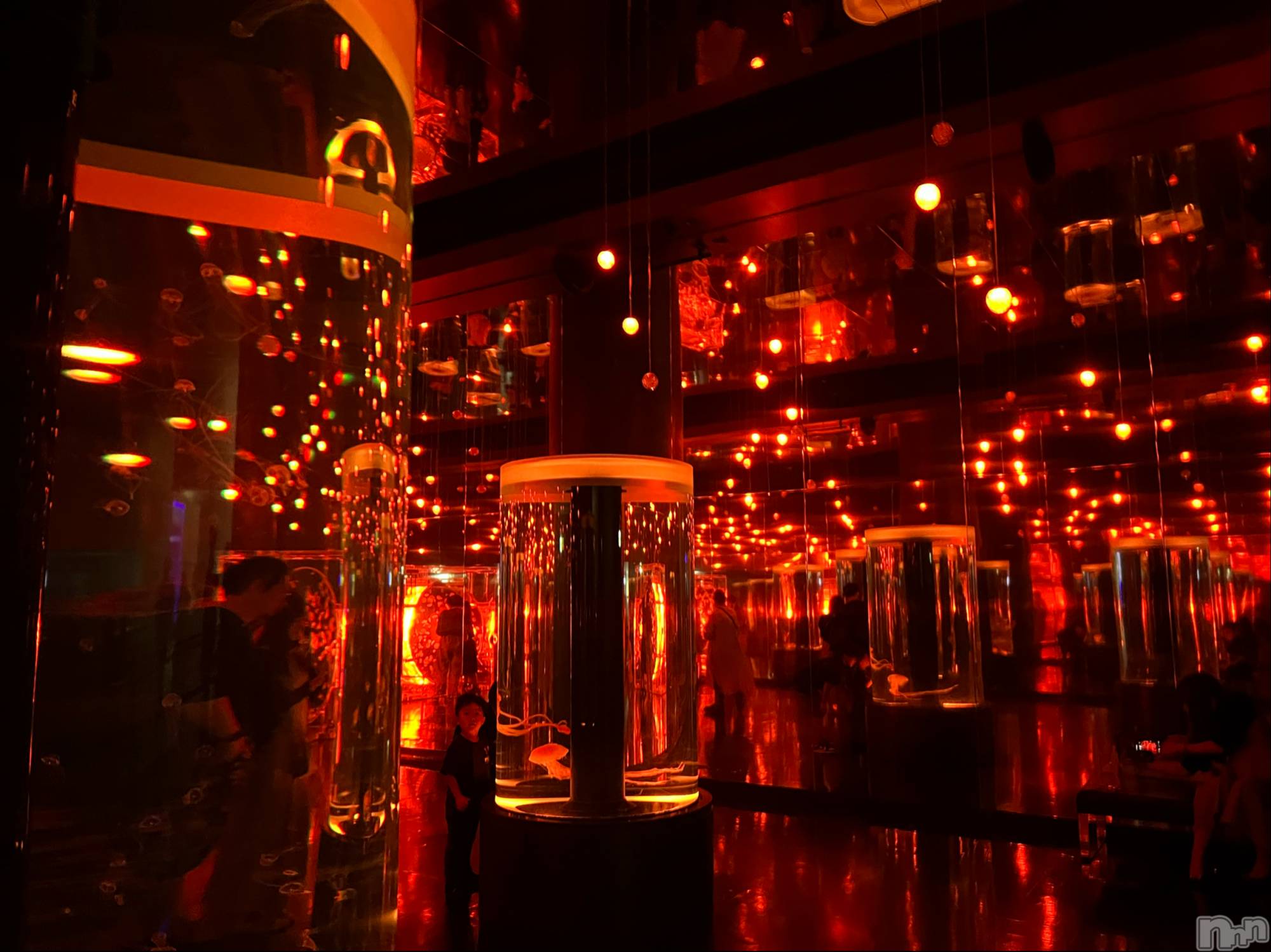 ��ˬ����Х��顦����֥���� �ץ���� ��ˬ(����� �ץ���� ����) ��2024ǯ7��10���̥�֥�����🍬��