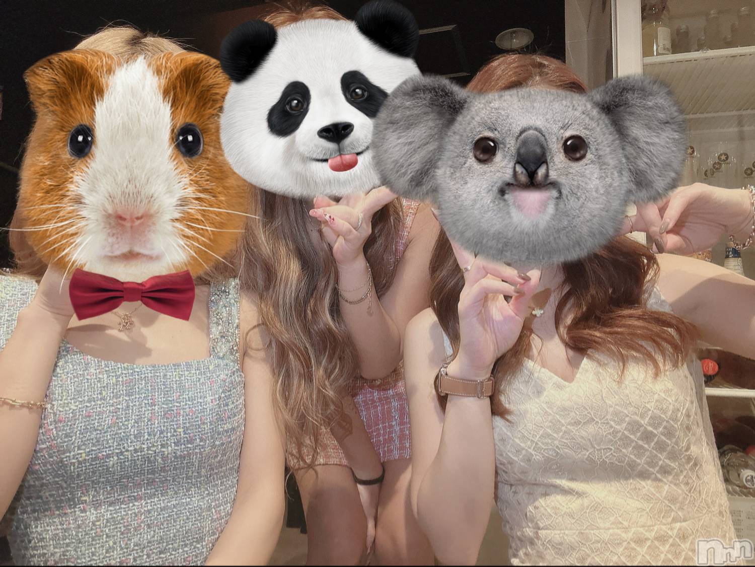 ��ˬ����Х��顦����֥���� �ץ���� ��ˬ(����� �ץ���� ����) ��2024ǯ7��12���̥�֥�����🍬��